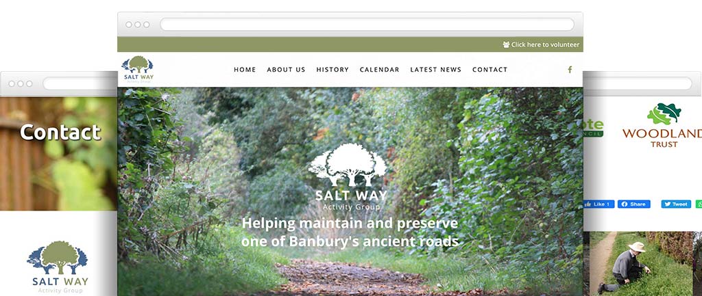 Volunteer website design